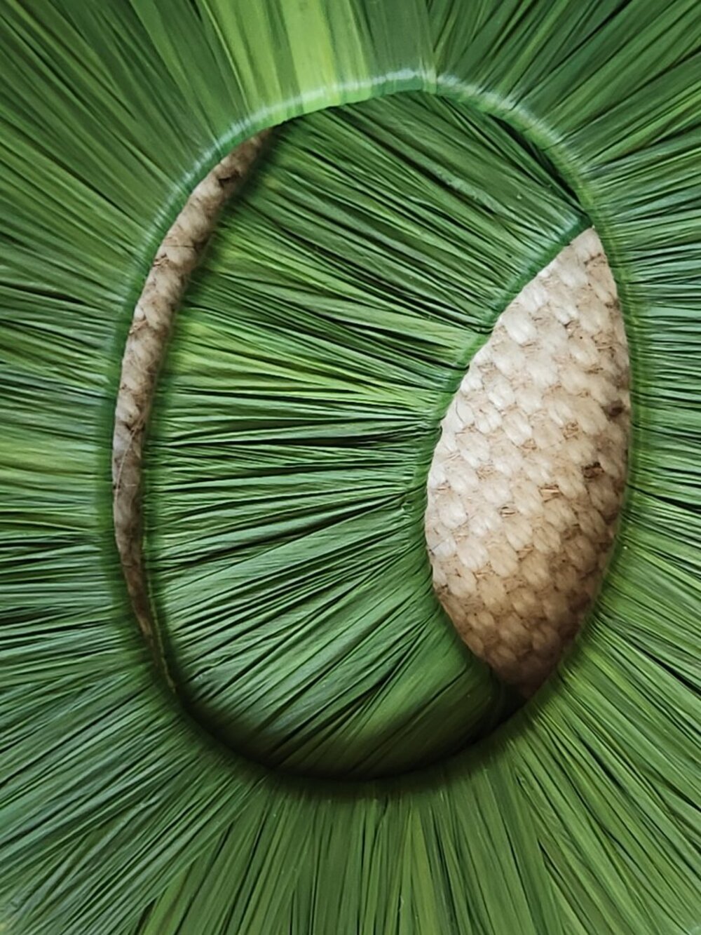 Oversized Green Raffia Drop Earrings - Picture 5 of 5